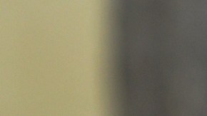 VIDEO: Niña de 5 años es atacada por mapache mientras esperaba el bus escolar y su mamá la salva