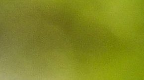 Hombre mata a su suegro y le dispara a la familia de su prometida en Massachusetts tras exigir que salieran de su casa