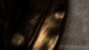 Trump presionó a su entonces vicepresidente Mike Pence a falsear el resultado de las elecciones de 2020.