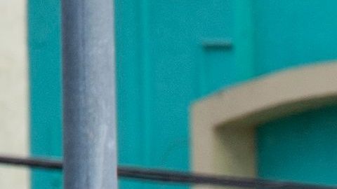 LAPD anunció recompensa de $50,000 dólares en la investigación sobre toma de calle por automovilistas acróbatas donde murió latina de 24 años
