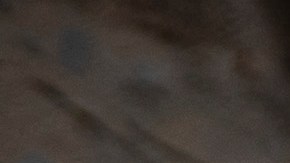 Pedro Castillo: un juez en Perú dicta 18 meses de prisión preventiva para el expresidente