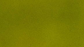 Douglas Costa podría regresar a Gremio de Brasil.