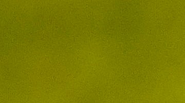 Douglas Costa podría regresar a Gremio de Brasil.