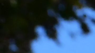 A sprinkler waters grass in Alhambra, California on September 23, 2021. - Water usage in Southern California has increased since July when Governor Gavin Newsom asked cities to conserve water usage by at least 15% due to California's worsening drought situation. (Photo by Frederic J. BROWN / AFP) (Photo by FREDERIC J. BROWN/AFP via Getty Images)