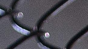 Las artes marciales mixtas o mixed martial arts (MMA) se practican en los Estados Unidos.