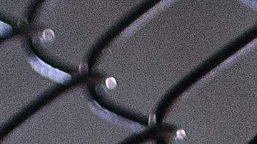 Las artes marciales mixtas o mixed martial arts (MMA) se practican en los Estados Unidos.