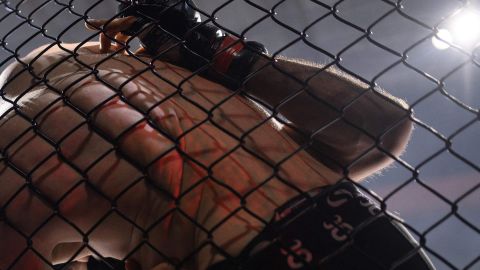 Las artes marciales mixtas o mixed martial arts (MMA) se practican en los Estados Unidos.