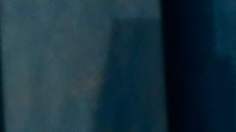 Además de actuar, Kravitz trabaja como modelo y en la industria musical.