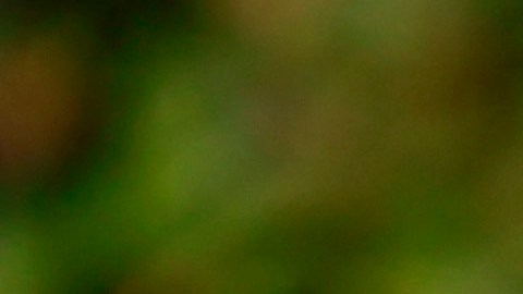La actriz estadounidense empezó su carrera en el año 2002