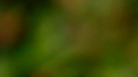 La actriz estadounidense empezó su carrera en el año 2002