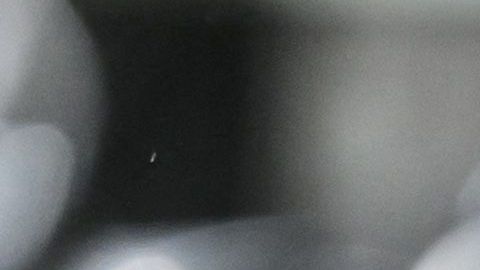 Michel Platini, exjugador de fútbol de Francia.