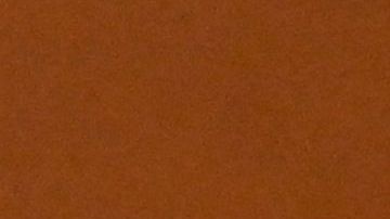 US dollar notes are photographed in Buenos Aires, on June 23, 2022. - Argentines do their accounts in dollars, traumatised by recurrent economic crises and tormented by the inflation that is eating away at their pockets and is projected to exceed 60% this year. (Photo by Luis ROBAYO / AFP) (Photo by LUIS ROBAYO/AFP via Getty Images)