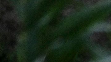 Es muy peligroso intentar cruzar el río Grande gano alertas de frío extremo.