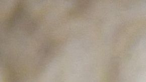 Senadora en México pronostica que destino de López Obrador será el mismo que el de Pedro Castillo en Perú