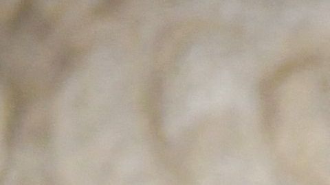 Senadora en México pronostica que destino de López Obrador será el mismo que el de Pedro Castillo en Perú