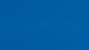 Diego Cocca, entrenador de Tigres UANL de la Liga MX.