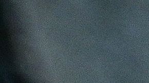 Sujeto que disparó al paseador de perros de Lady Gaga es condenado a 21 años de prisión