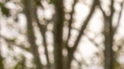 Golpe a Trump: Revocan nombramiento de perito especial que revisaba documentos en investigación de Mar-a-Lago