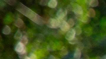 A child walks after taking part in a pony ride at Parc Monceau in Paris on October 12, 2022. - On Wednesdays and weekends children can take part in rides between 14h and 18h in the park organised by an association dedicated to caring for the animals. (Photo by AFP) (Photo by -/AFP via Getty Images)