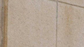 Grupo de empleados de Twitter despedidos demanda a Twitter y Elon Musk