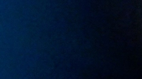 Iguana provoca apagón a gran escala en ciudad del sur de Florida al provocar explosión de transformador