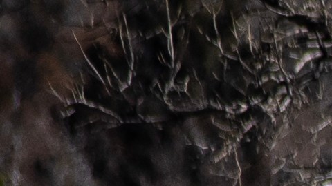 Sospechoso de tiroteo en Colorado es acusado de 305 cargos, incluidos crímenes de odio y asesinato