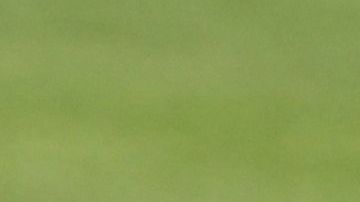 El jugador camerunés está envuelto en una polémica en Qatar