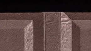 FBI revela cómo hombre se autoproclamó profeta en Arizona y tuvo más de 20 esposas, incluidas menores de edad