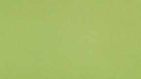 Samuel Eto'o en un entrenamiento de Camerún en Qatar.