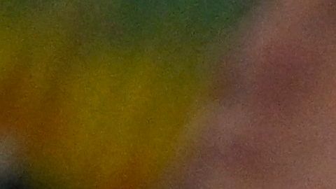 Aficionados en el Mundial Qatar 2022.