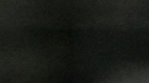 Giovannni Reyna con la selección de Estados Unidos.