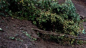 Deslizamiento de tierra sepulta camión en Colombia y deja más de 20 muertos