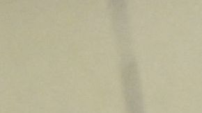 Gato en la rueda de prensa de Brasil antes de la eliminación ante Croacia.