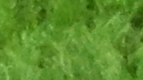 Brasil perdió 4-2 en penales.