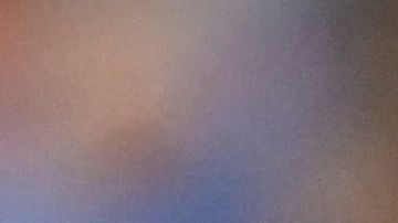 Louis Van Gaal, exentrenador de Países Bajos.