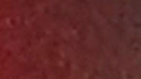 Cristiano Ronaldo y Pepe, jugadores de la Selección de Portugal.