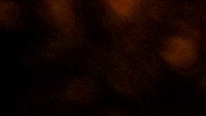 Un pequeño grupo de aficionados marroquíes generó disturbios en París, Francia, tras la victoria de su Selección frente a Portugal en Qatar 2022.