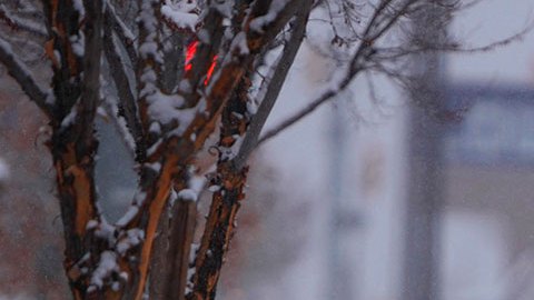 Tormenta invernal avanza hacia el noreste de EE.UU. con nevadas y apagones