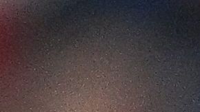 Jugadores de la Selección de Argentina en Qatar 2022.