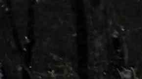 El Monumento Permanente de Sandy Hook en Newtown, Connecticut.