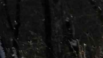 El Monumento Permanente de Sandy Hook en Newtown, Connecticut.