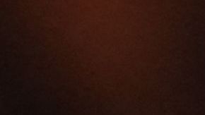 ¿Debería renunciar? Elon Musk lanza encuesta en Twitter y promete aceptar resultados