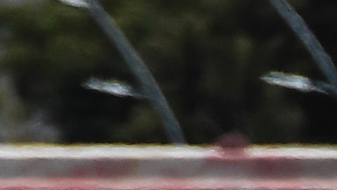 Aficionados argentinos celebrando la Copa del Mundo en Buenos Aires.