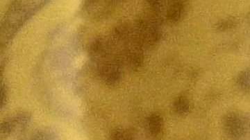 Los presidentes Volodimir Zelensky y Joe Biden durante la conferencia de prensa en la Casa Blanca.