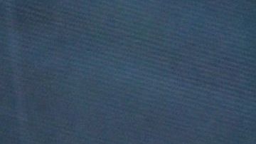 Martínez festejó por todo lo alto la victoria de Argentina.