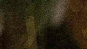 Joe Biden sostiene el libro mientras Jill Biden se lo lee a los niños.