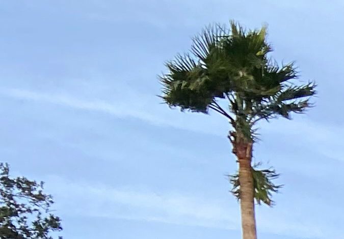 Una fuente con el agua helada en Charleston, Carolina del Sur, el 24 de diciembre de 2022.