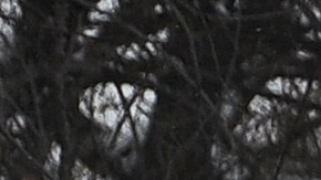 Guardia Nacional continúa la búsqueda de las víctimas de la tormenta de invierno mortal casa por casa en Buffalo