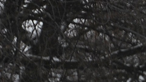 Guardia Nacional continúa la búsqueda de las víctimas de la tormenta de invierno mortal casa por casa en Buffalo
