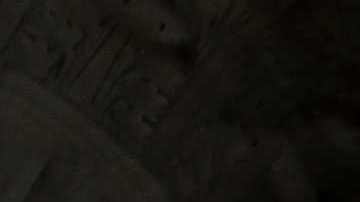 La Corte Suprema tendrá un papel clave en asuntos migratorios en 2023.